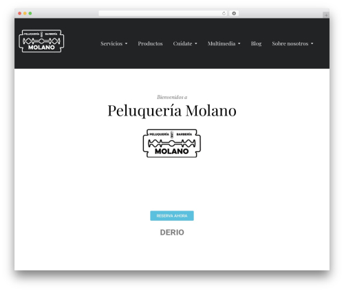 Jericho WordPress theme - peluqueriamolano.com