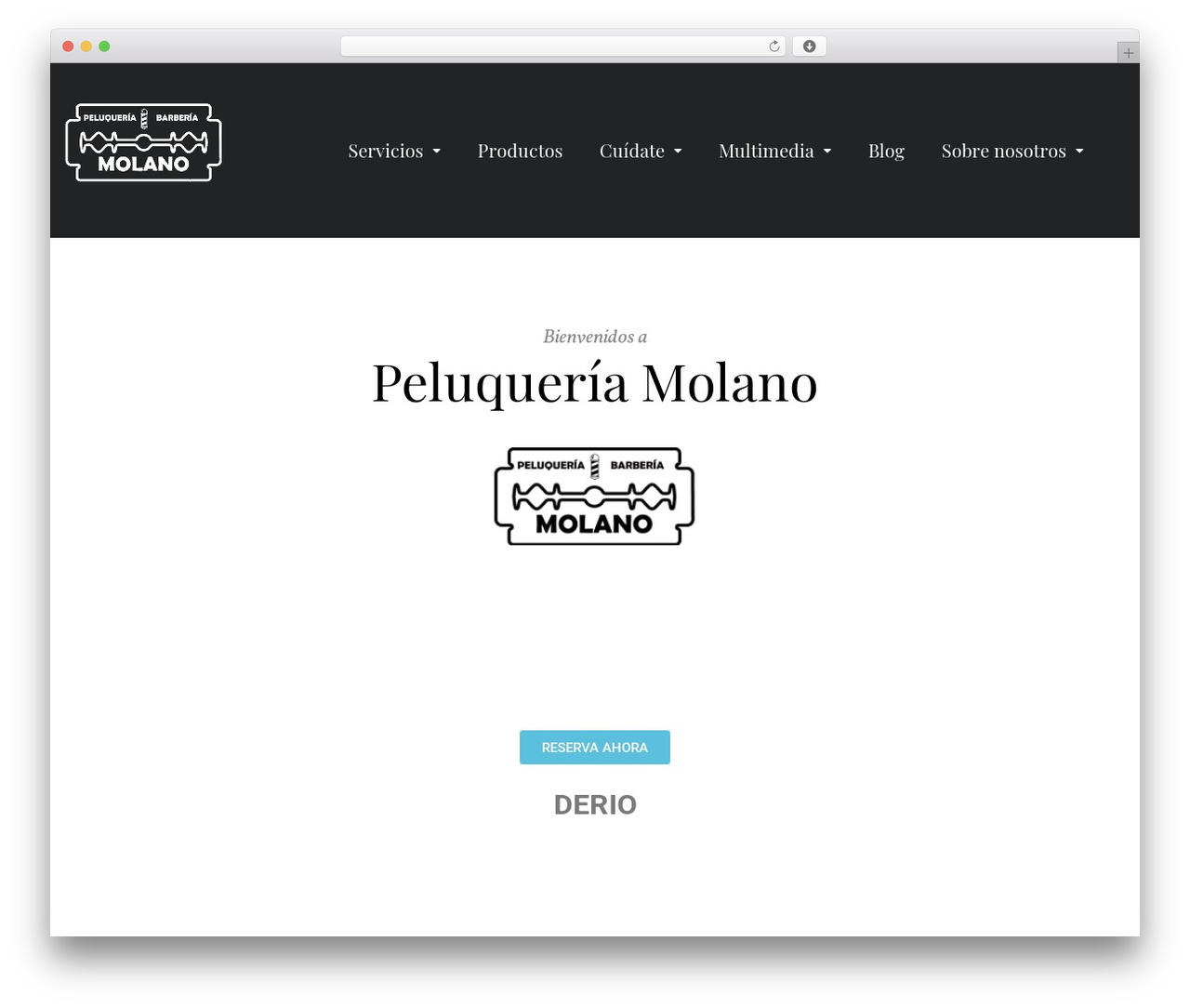 Kava WordPress theme - peluqueriamolano.com