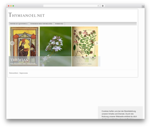 Network-Theme best WordPress theme - thymianoel.net