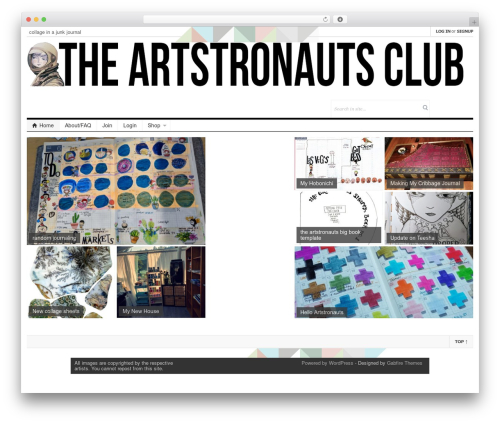 patterns WordPress theme - theartstronauts.com