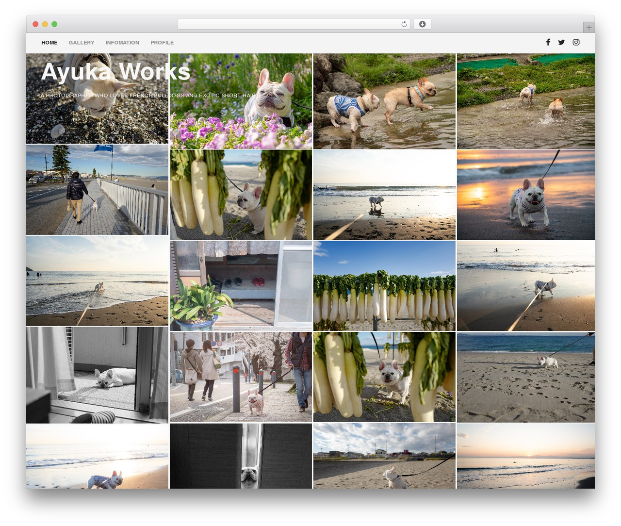 resi WordPress theme - ayukaworks.com resi WordPress theme - ayukaworks.com