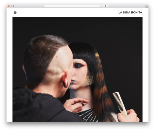 Snapster best WordPress theme - xn--laniabonita-4db.es