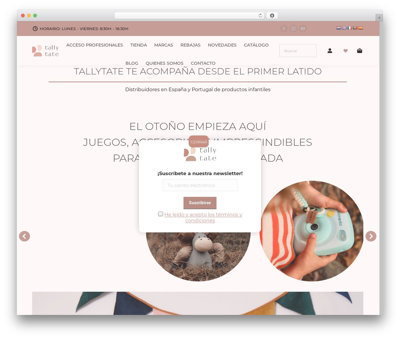 The7 theme WordPress - tallytate.com