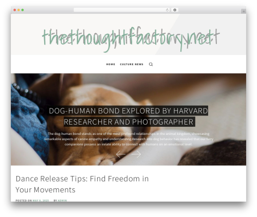Generateblocks WordPress plugin - thethoughtfactory.net
