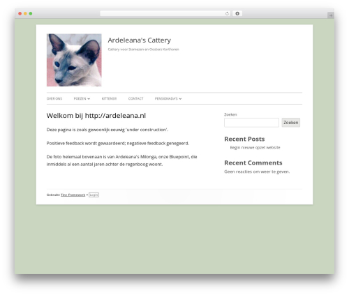 Tiny Framework top WordPress theme - ardeleana.nl Tiny Framework top WordPress theme - ardeleana.nl