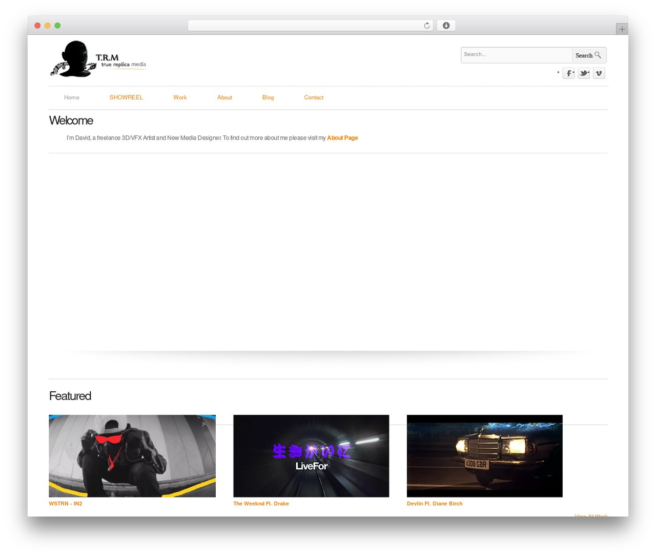 TRM WordPress theme - true-replica.co.uk