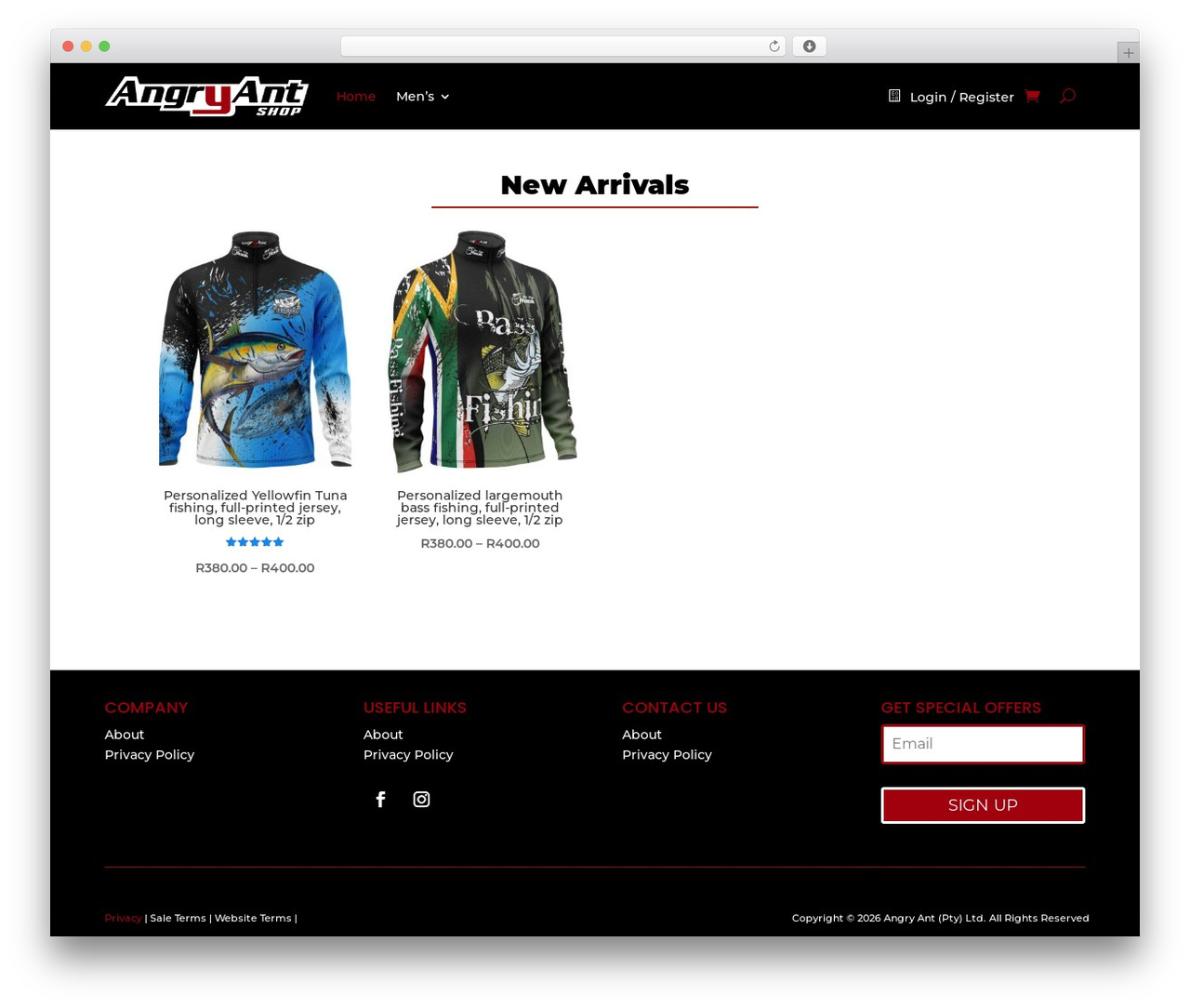 WordPress theme Divi - angryantshop.com