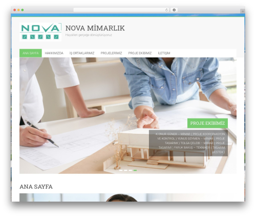 RAYS Grid (rays-grid) free WordPress plugin - novamimarlik.com
