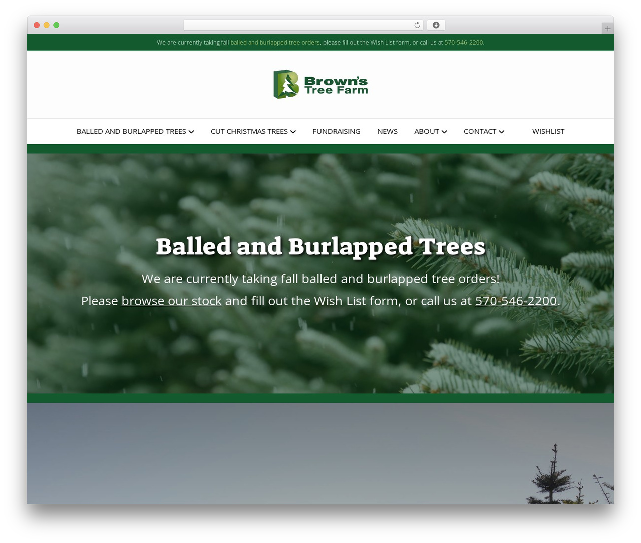 Theme WordPress Beaver Builder Theme - brownstreefarm.com