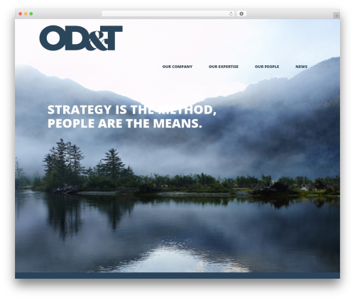 WordPress theme Optimizer PRO - odandt.com WordPress theme Optimizer PRO - odandt.com