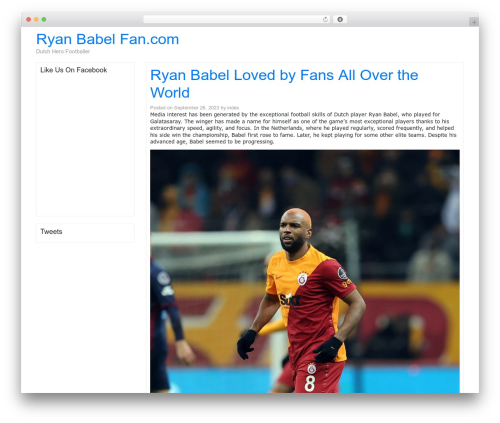 Customize Feeds for Twitter (twitter-tweets) free WordPress plugin - ryanbabelfan.com