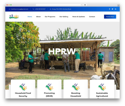 Braintech WordPress theme - healthpromotionandrightswatch.org
