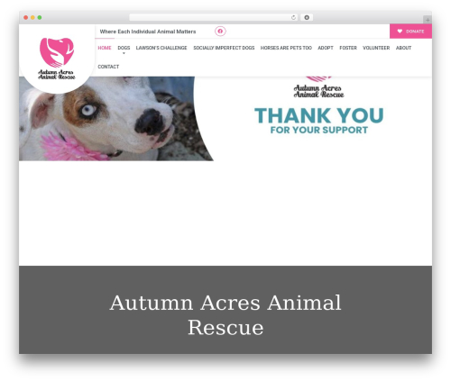 Buzz To The Rescues WordPress theme design - autumnacres.org