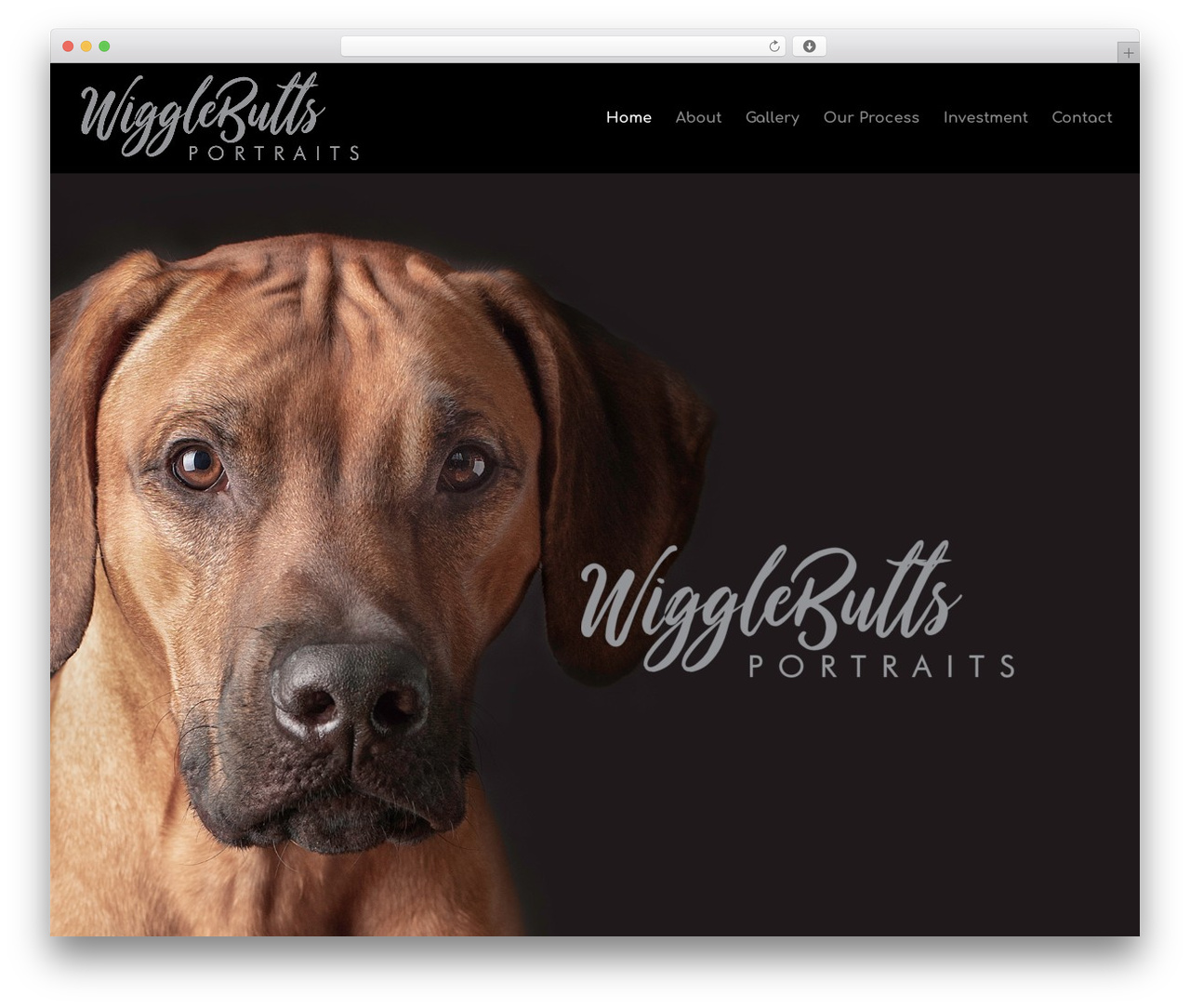 Divi WordPress theme image - wigglebuttsphotography.com Divi WordPress theme image - wigglebuttsphotography.com