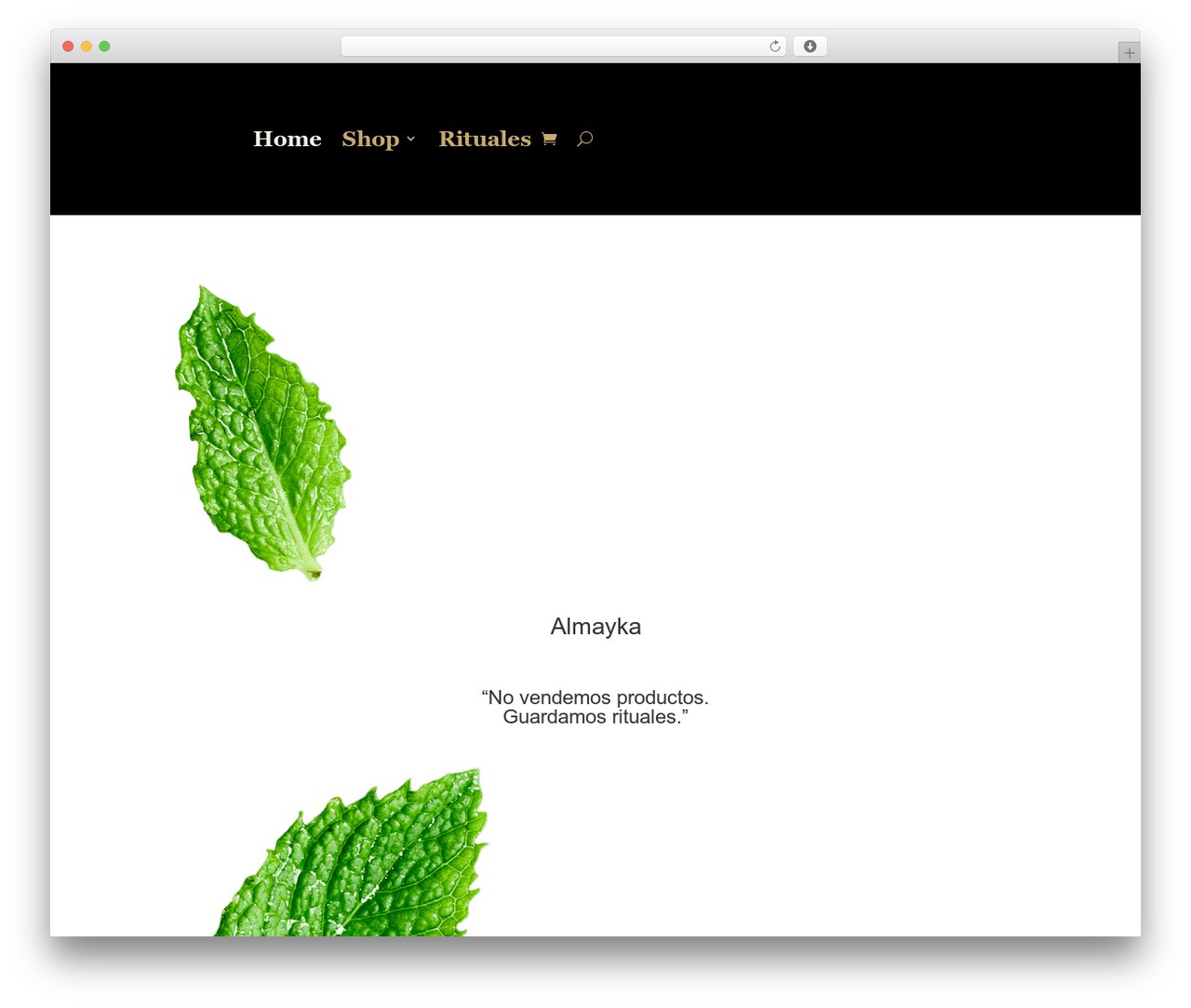 Divi WordPress theme - almayka.com Divi WordPress theme - almayka.com