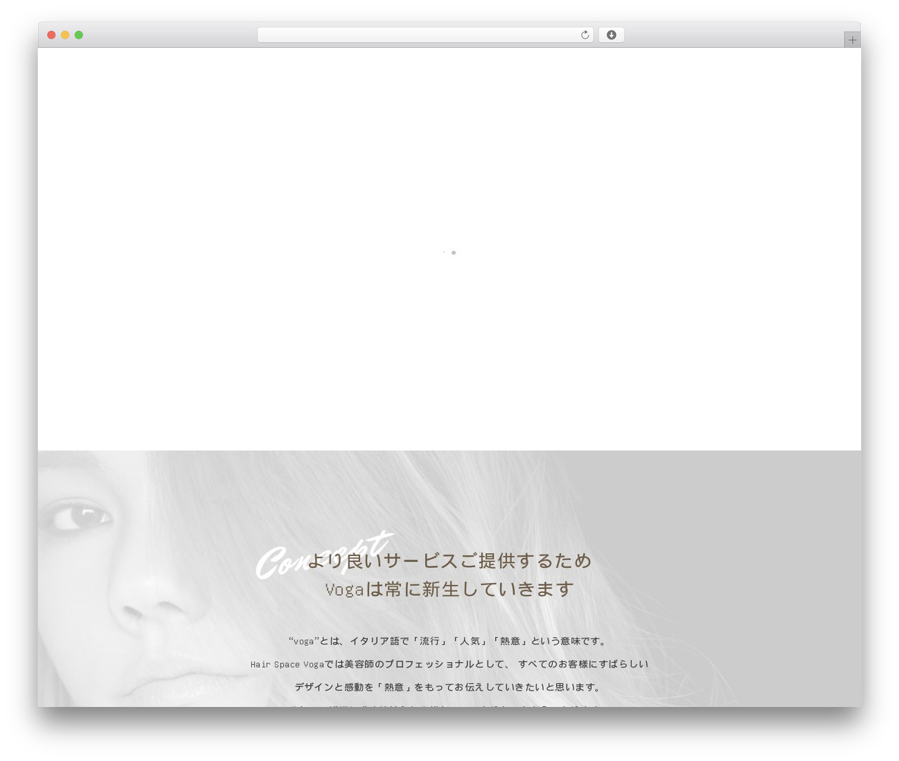 Themify Basic best WordPress theme - hairspace-voga.com