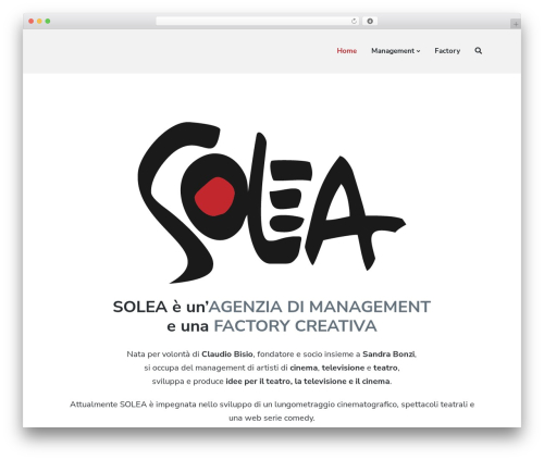 Atomic Blocks WordPress theme - solea.srl