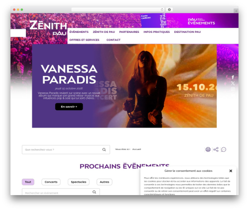 Divi theme WordPress - zenith-pau.com