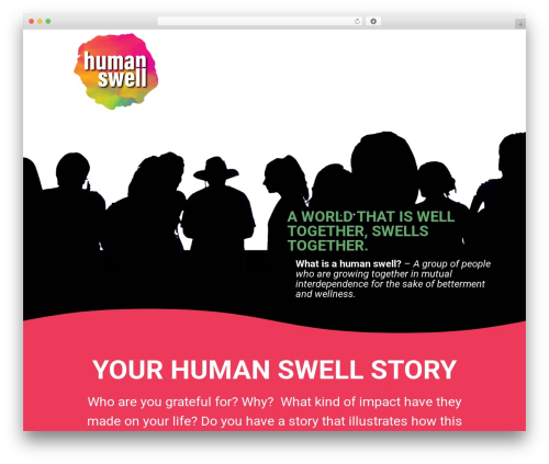 Divi theme WordPress - humanswell.com