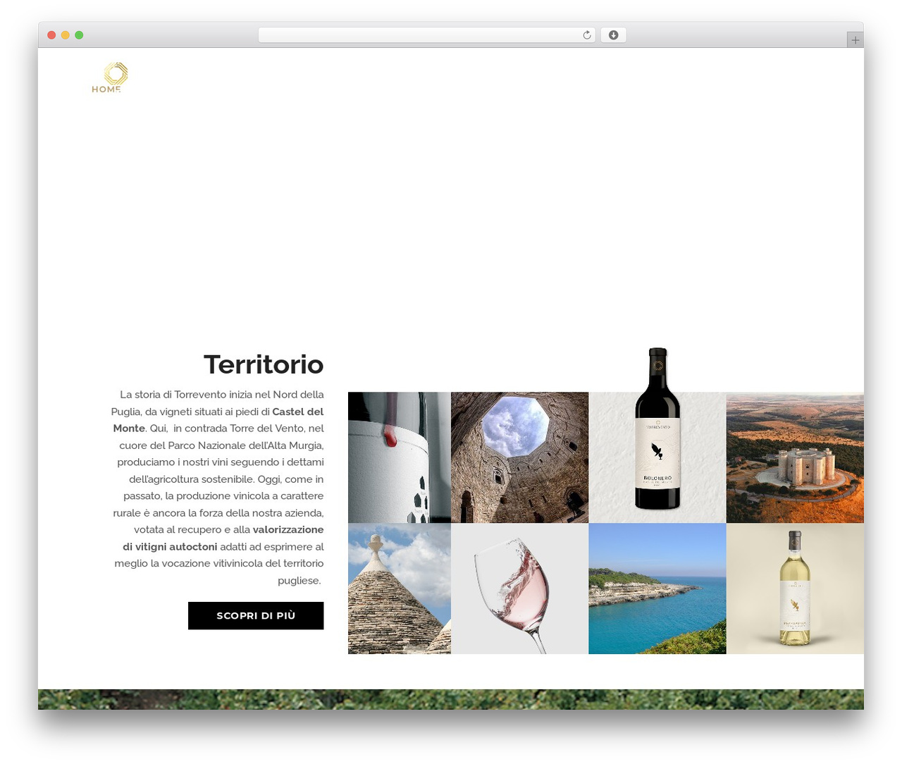 Overlap WordPress theme - torrevento.it