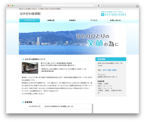Theme WordPress はせがわ接骨院 - hasegawa-sekkotsuin.com