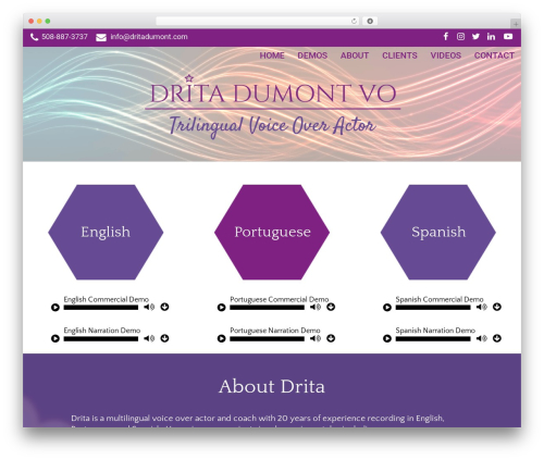 Single player downloads WordPress plugin - dritadumont.com