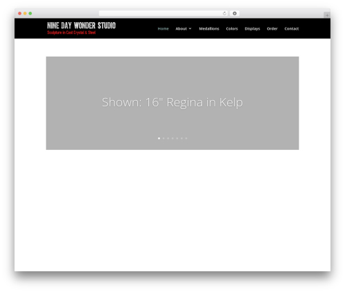 WordPress theme Divi - ninedaywonderstudio.com