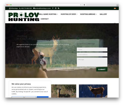 WordPress theme Divi - prolov-hunting.com