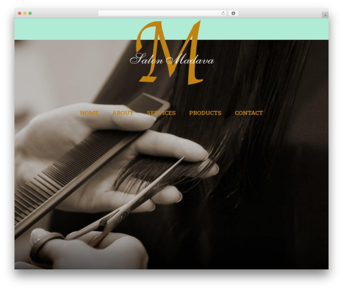 You WordPress website theme - salonmadava.com