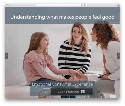 Zoo WordPress theme - bm-p.com