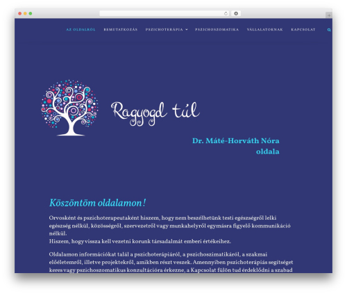 Fresh framework WordPress plugin - ragyogdtul.hu