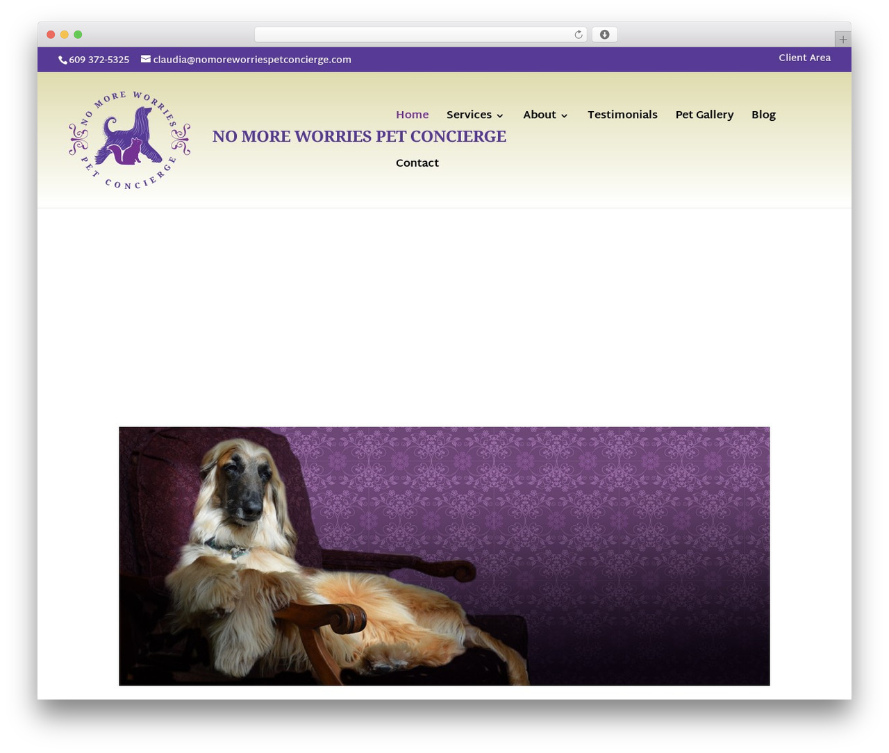 Divi theme WordPress - nomoreworriespetconcierge.com