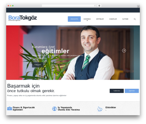 WordPress theme cherry - boratokgoz.com