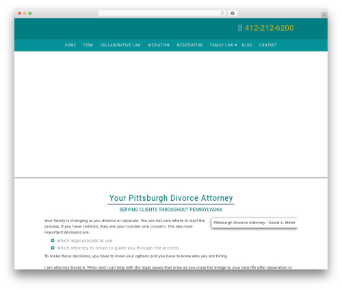 Actly WordPress theme - davidmillerlawoffice.com