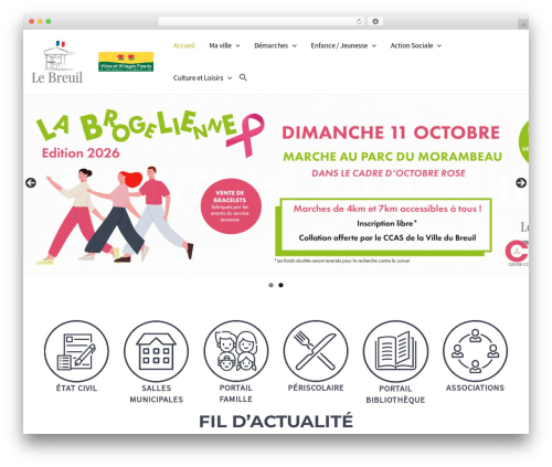 Web stat WordPress plugin - lebreuilbourgogne.fr
