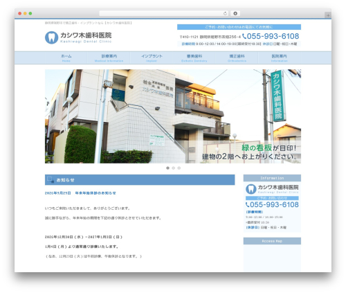 Best WordPress theme Themify Basic - kashi888.com