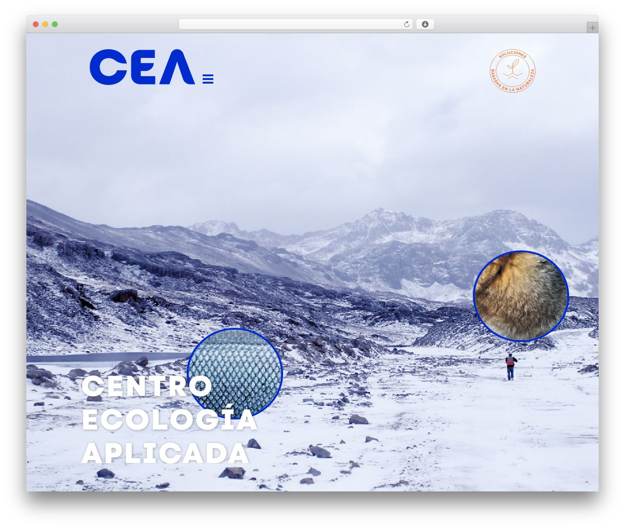 CEA WordPress theme - cea.cl