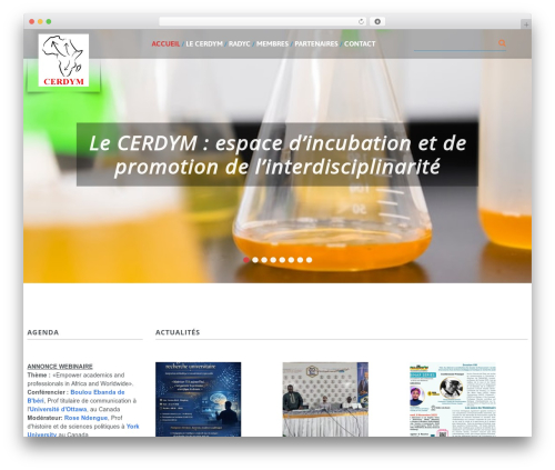 cherry theme WordPress - cerdym.org