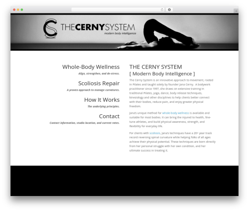 Divi theme WordPress - thecernysystem.com