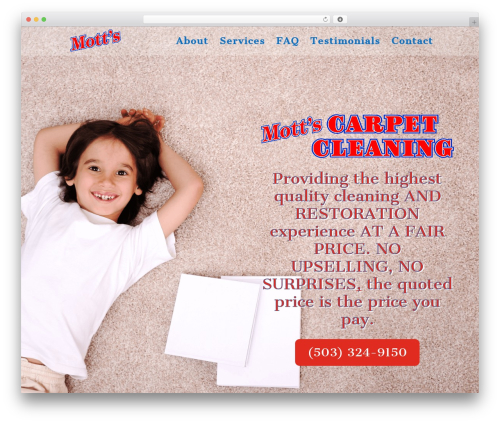 Wp social ninja pro WordPress plugin - mottscarpetcleaning.com