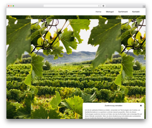Extra Privacy for Elementor (extra-privacy-for-elementor) free WordPress plugin - ott.wine