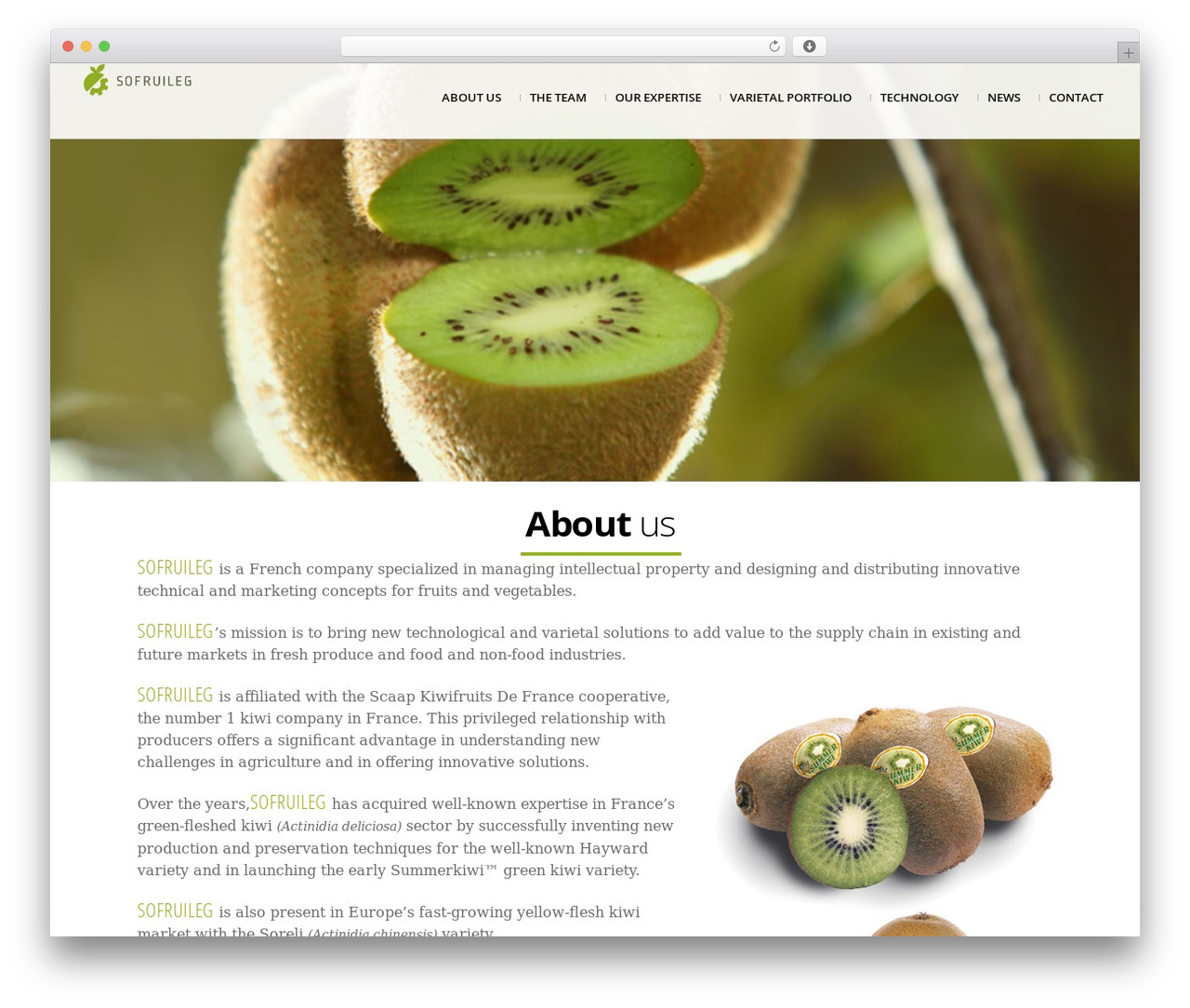 SOFRUILEG WordPress page theme - sofruileg.com SOFRUILEG WordPress page theme - sofruileg.com