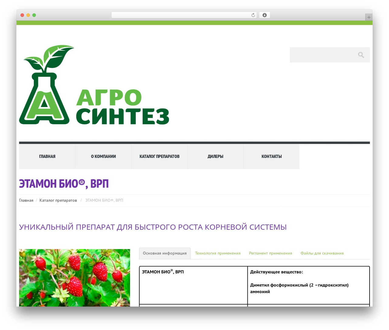 Theme WordPress cherry - xn--80acvoffdz2h.xn--p1ai Theme WordPress cherry - xn--80acvoffdz2h.xn--p1ai