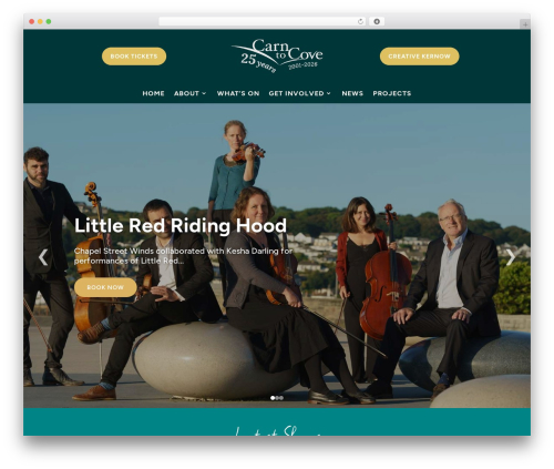 Divi mobile WordPress plugin - carntocove.co.uk