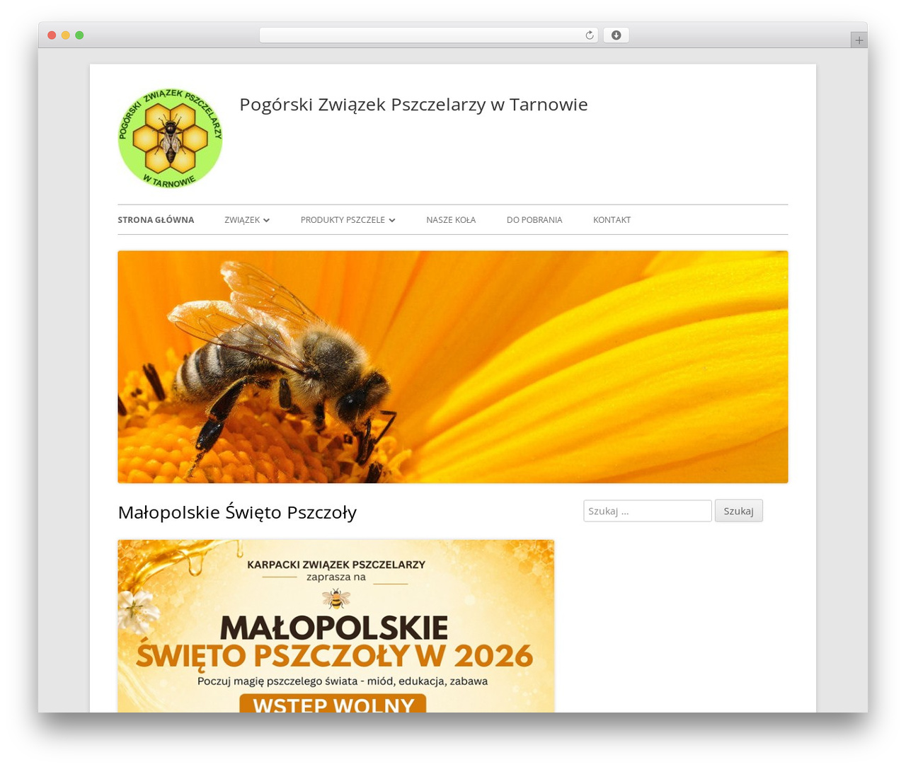 Tiny Framework free WordPress theme - pgzptarnow.pl