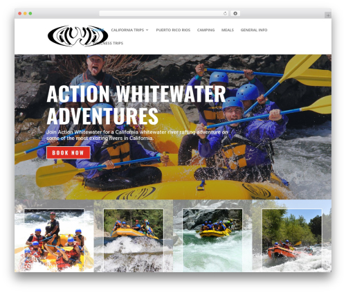 WordPress theme Divi - actionwhitewater.com