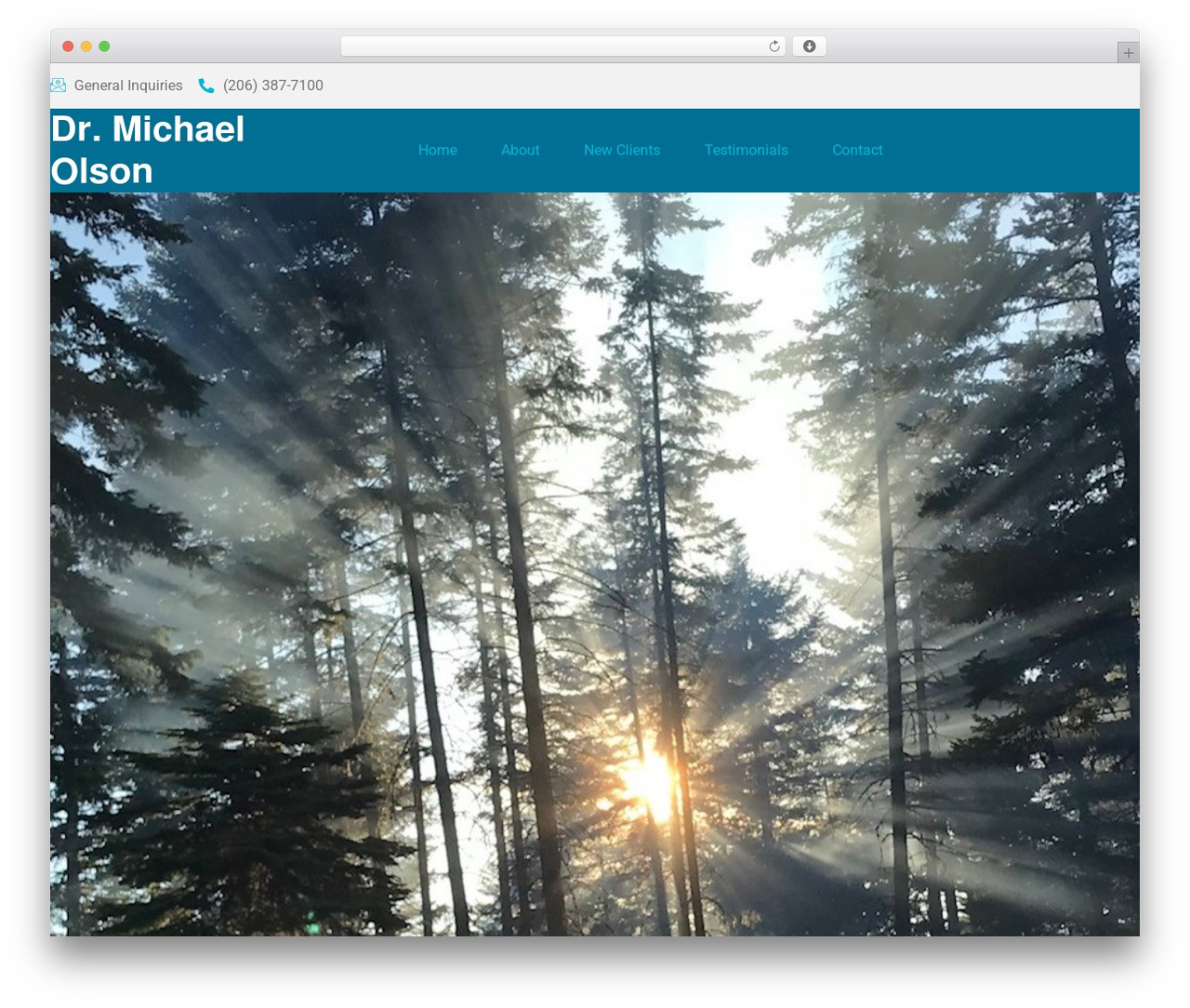 WordPress theme Hello Elementor - michaellolson.com