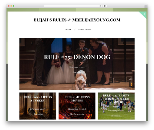 WordPress theme Om - mrelijahyoung.com