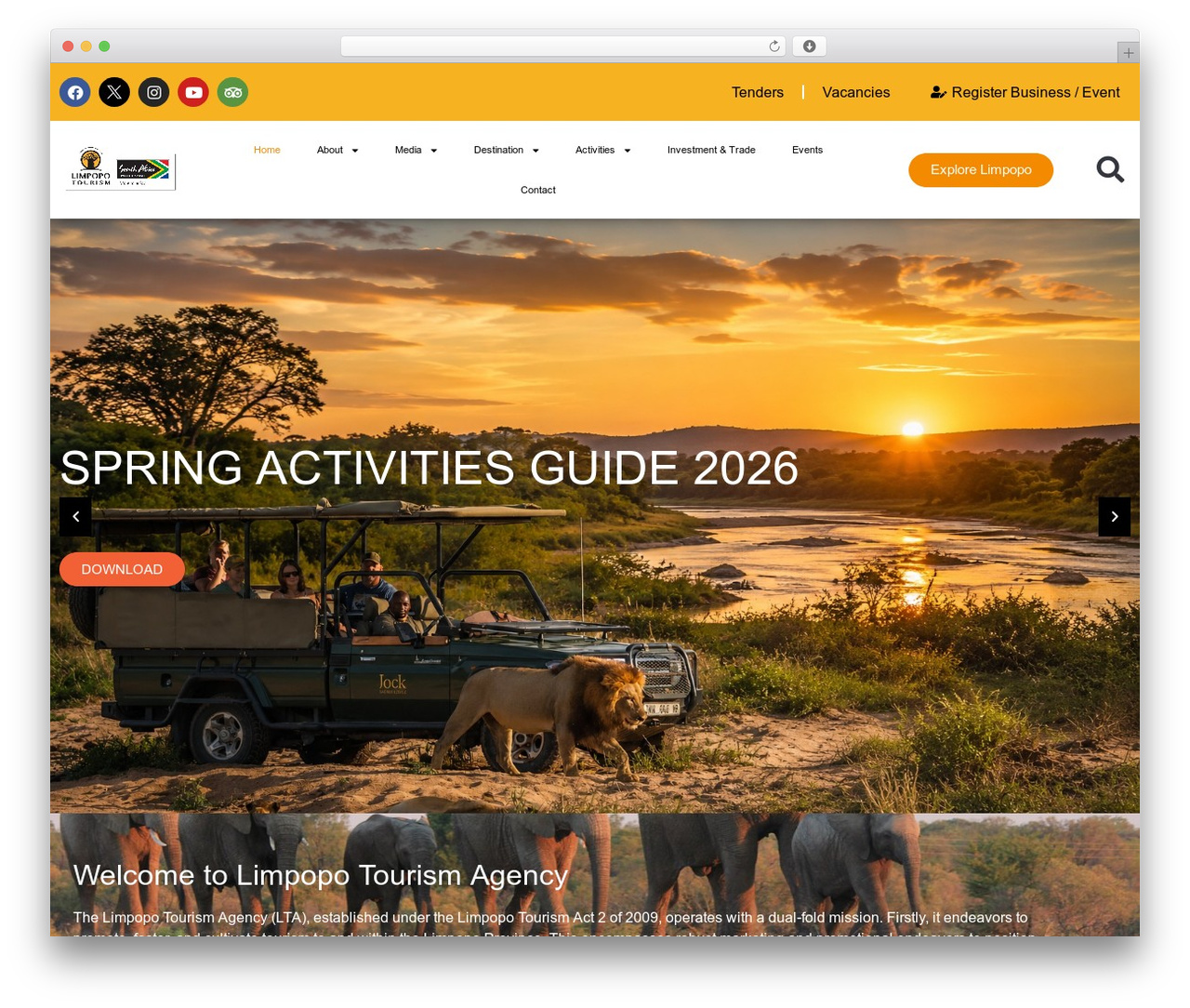 WordPress website theme Hello Elementor - golimpopo.com WordPress website theme Hello Elementor - golimpopo.com