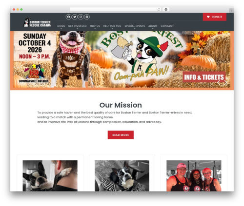 Buzz To The Rescues best WordPress theme - bostonterrierrescuecanada.com